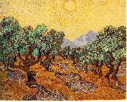 Vincent Van Gogh Olive Trees with Yellow Sky and Sun oil painting picture wholesale